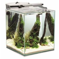 AQUAEL Fish&Shrimp Set Duo 35